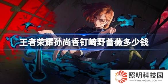 王者榮耀孫尚香釘崎野薔薇多少錢-王者榮耀孫尚香咒回皮膚價(jià)格介紹