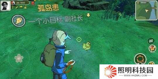 金色羽毛在小森生活中究竟有何妙用？全面攻略指南揭秘！
