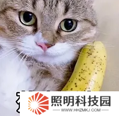 【大河懟策劃】交易區(qū)真的要來啦！